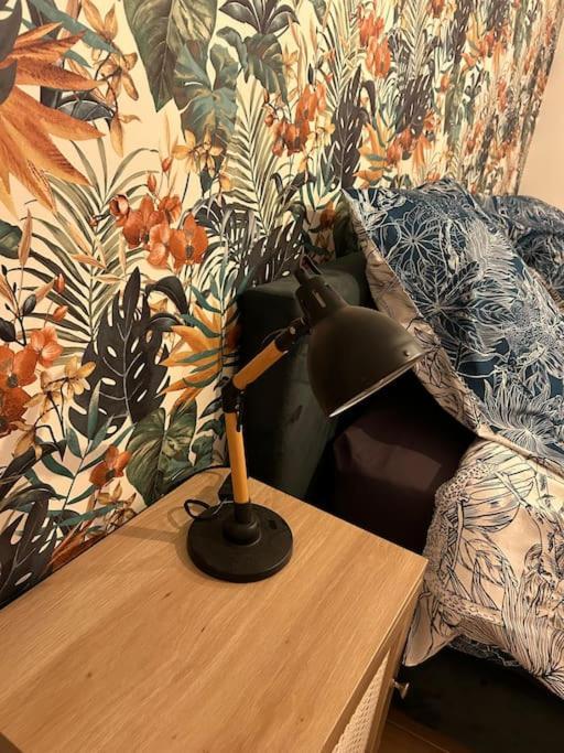 Le Floral Appartement Carcassonne Buitenkant foto